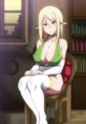 A case where I was summoned to a different world by a busty beauty elf and I got a cheat ability with enhanced magic and traveled while making children with her [Hara]