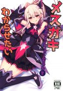 Mesugaki Testament Form-chan o Wakarasetai (Fate/Grand Order) [Santa]